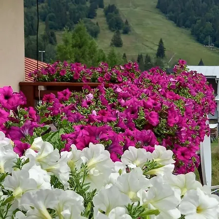 Deny 게스트하우스 Ždiar