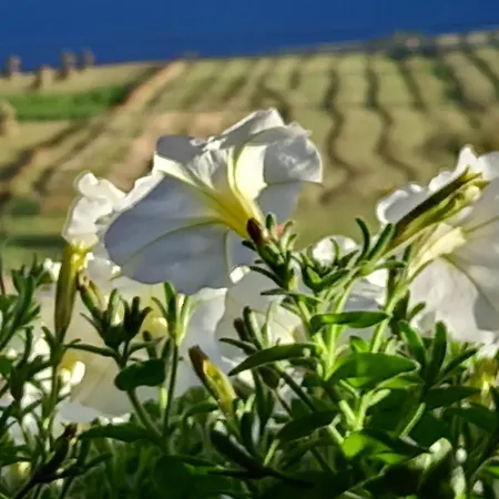 게스트하우스 Deny Ždiar