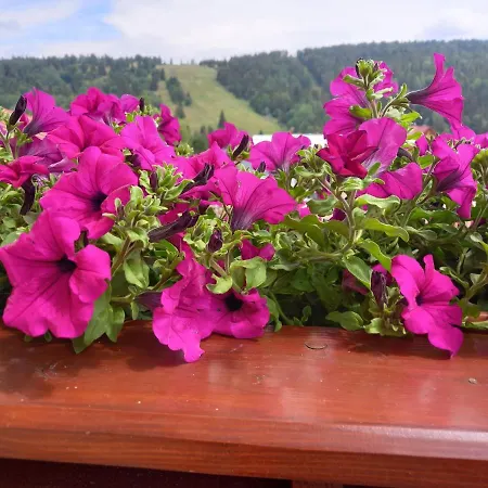 게스트하우스 Deny Ždiar